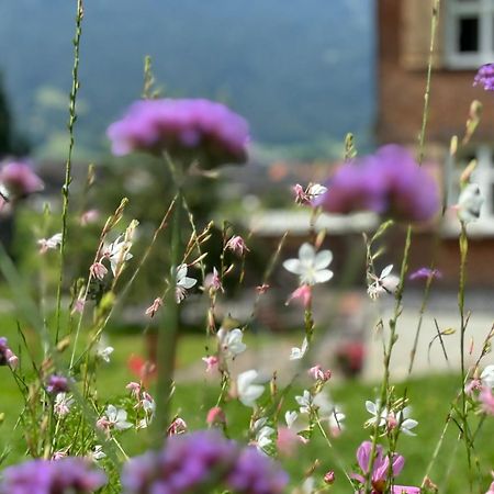 Villa Bregenzerwaelderhaus Ambros à Bezau Extérieur photo