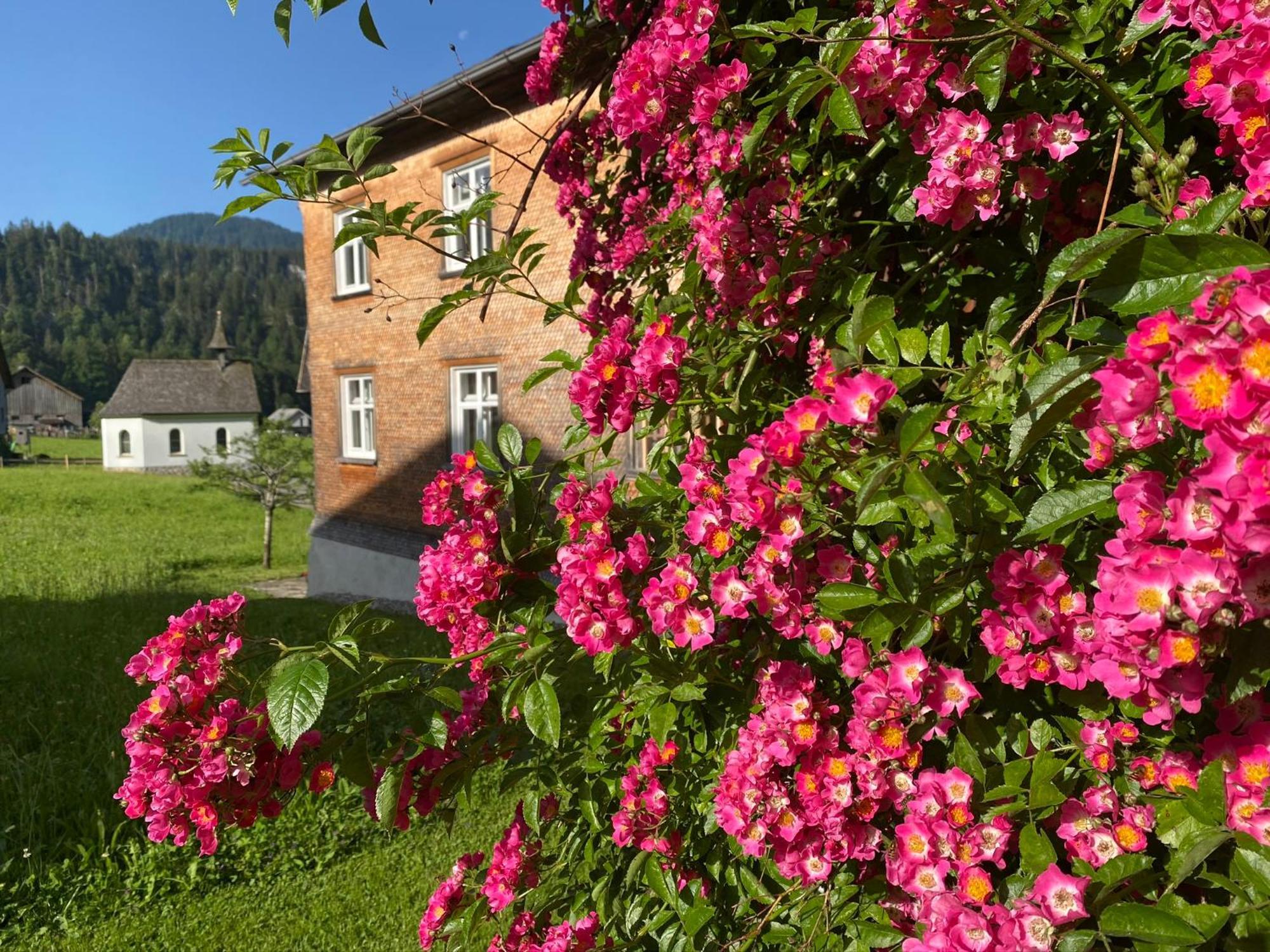 Villa Bregenzerwaelderhaus Ambros à Bezau Extérieur photo