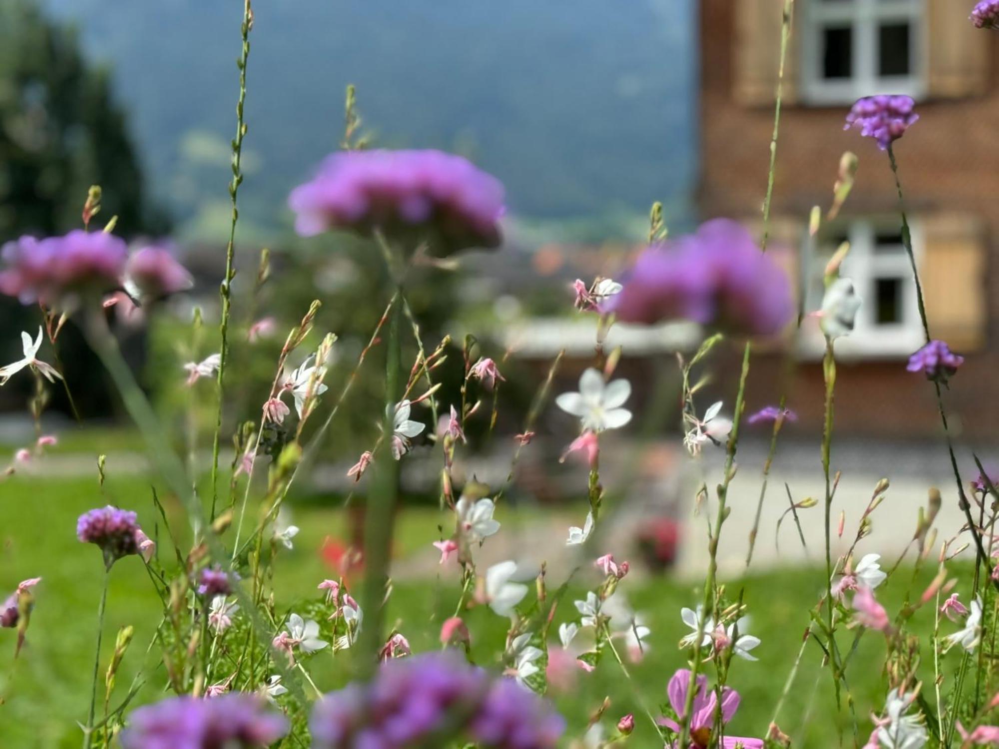 Villa Bregenzerwaelderhaus Ambros à Bezau Extérieur photo